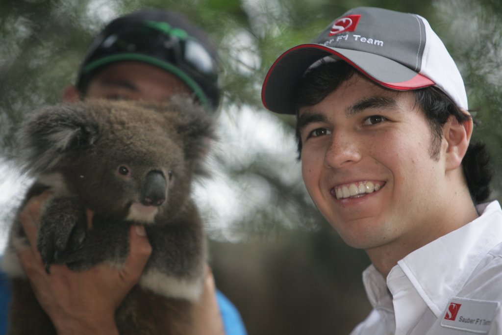 Sergio Perez blev sendt i zoo - og mødte en koala
(Foto: Sauber F1 Team)